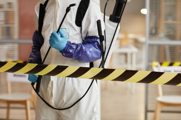 Professional Infectious Disease Decontamination technician working in Bailey, MI